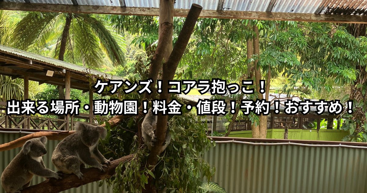 ケアンズ！コアラ抱っこ出来る場所・動物園！料金・値段！予約！おすすめ！